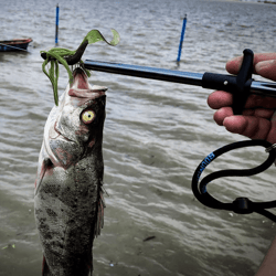 HookiePro Easy & Safe Fish Hook Remover