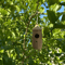 woodenhummingbirdhouse1png