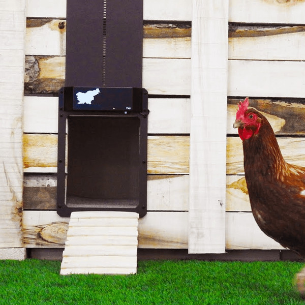 automaticpoultryfarmchickencoophousedoor3.png