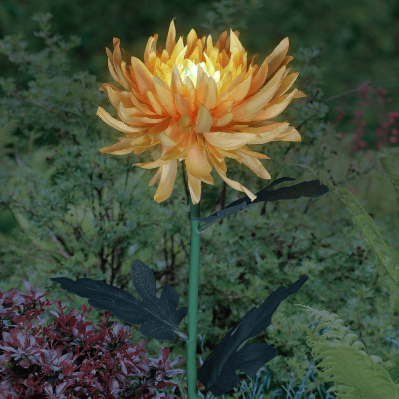 chrysanthemumsolargardenstakeledyellow.png