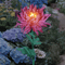 chrysanthemumsolargardenstakeledpink.png