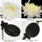 chrysanthemumsolargardenstakeled7.png