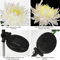 chrysanthemumsolargardenstakeled7.png