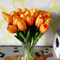 faketulipsorange.png
