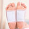 gingerslimmingfootpatch2png