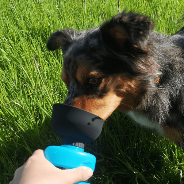 bpafreeoutdoordogwaterbottle3.png