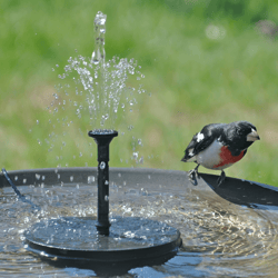 solar powered bird bath fountain