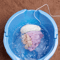 miracleminiportableecowashingmachine4.png