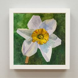 blooming daffodil original painting watercolor art botanical artwork wall art