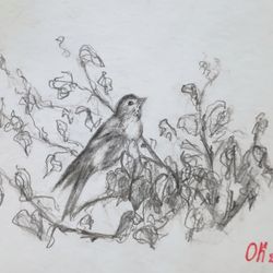 Handmade Birds Paintings - Little Bird illustration  paintings for child's room
