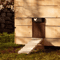 automaticchickendoor1.png