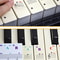 pianokeynotestickers4.png