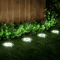 ingroundsolarpathlights3.png