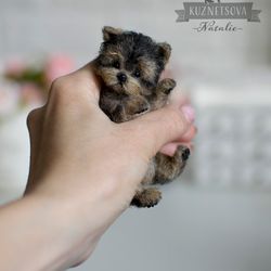 Plush dog baby yorkshire terrier Charlie