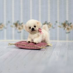 Miniature white puppy maltese dog Paris