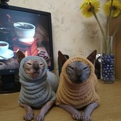cat clothes, cat sweater, sphynx clothes, sphynx sweater, warm sphynx clothes, warm cat clothes, warm cat sweater, soft cat sweater, soft cat clothes