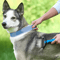 progroomingbrushblue.png