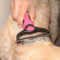 progroomingbrushpink.png