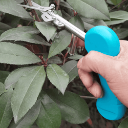 Pointed Gardening Scissors