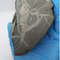 Ammonite-rock-fossils-ammonites-fossil-4.jpeg