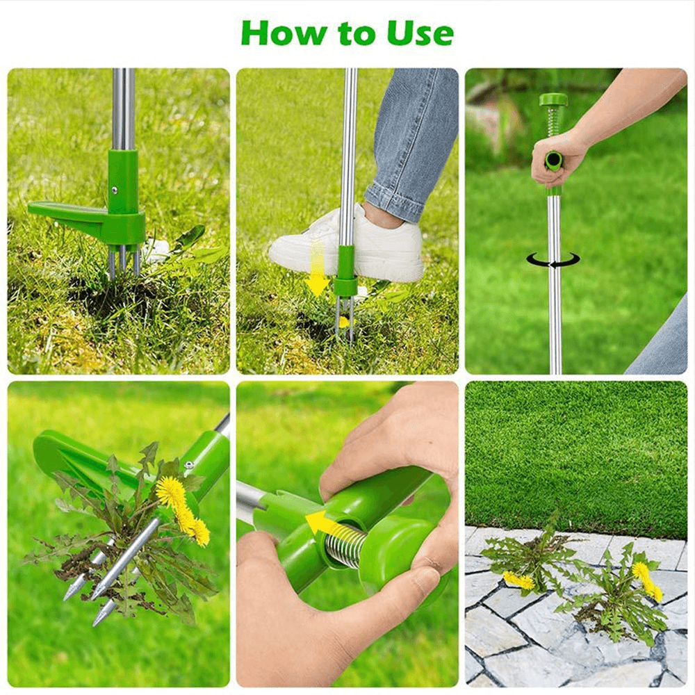 Efficient weed removal tool for backyard maintenance