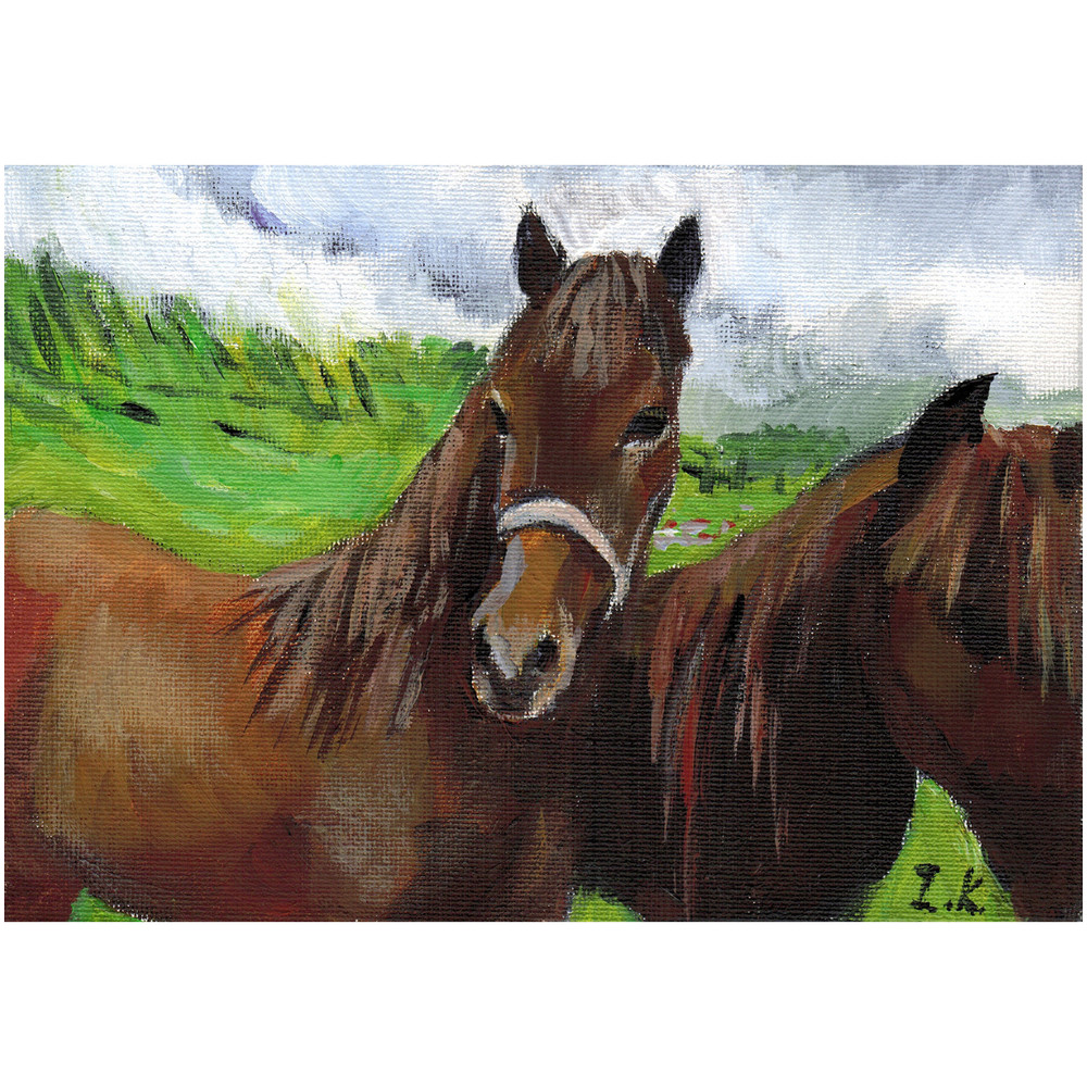 Iceland horses 1.jpg