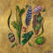 treasures 1.jpg