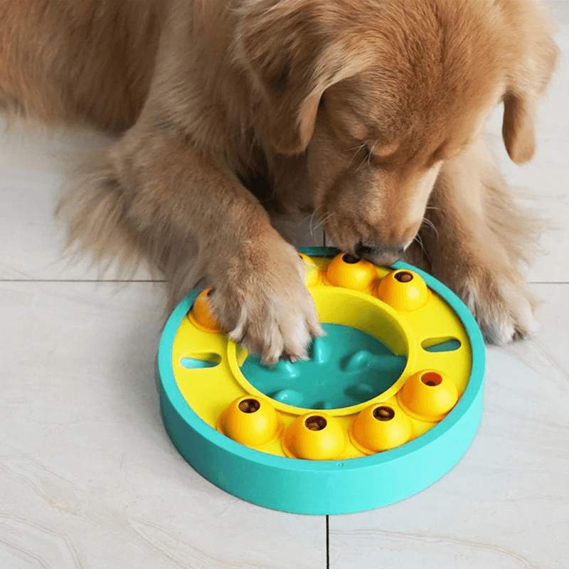 wisdomdogtoysslowleakagefeedingtraining1.png