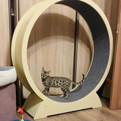 Running wheel for cats
