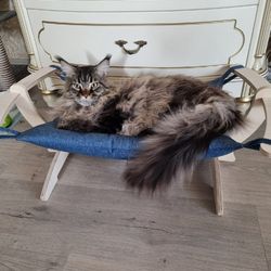 Outdoor hammock for cats