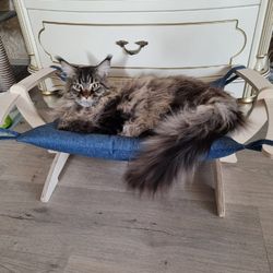 outdoor hammock for cats