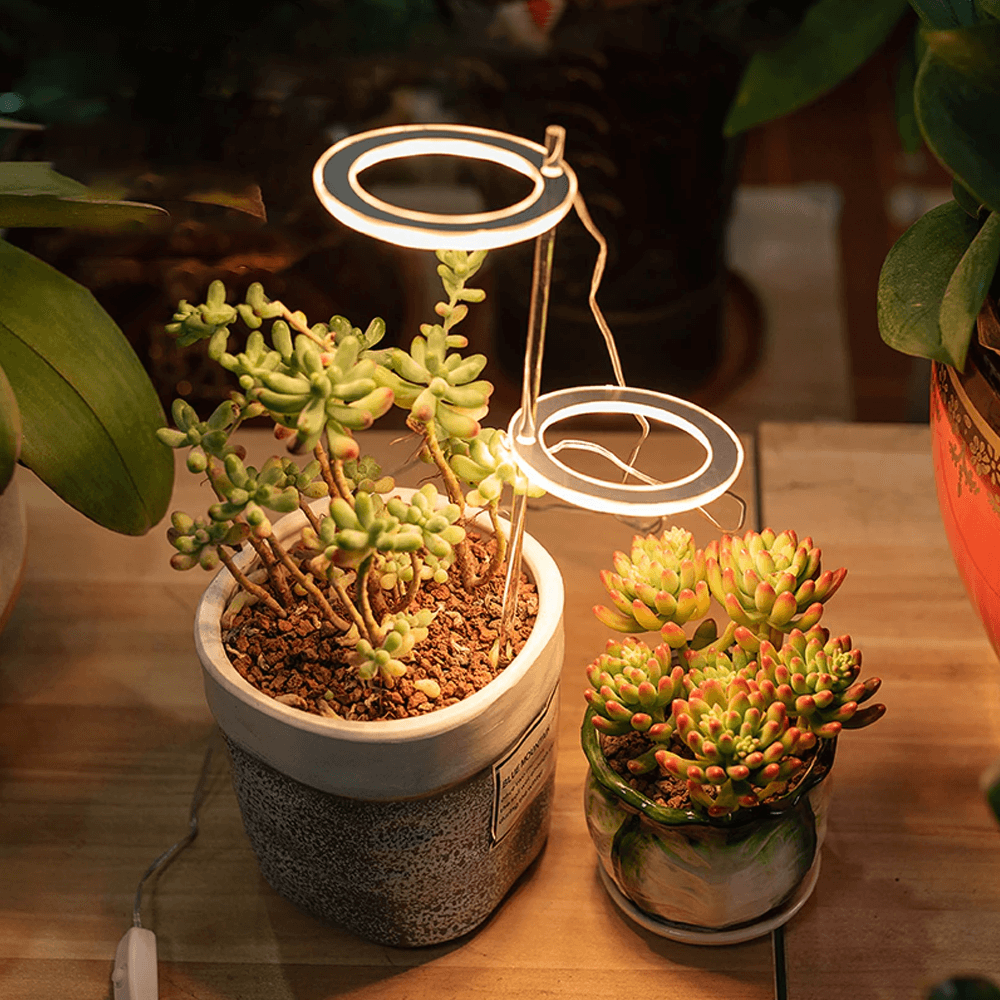 Sustainable grow lights for ecofriendly homes