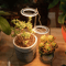 Sustainable grow lights for ecofriendly homes