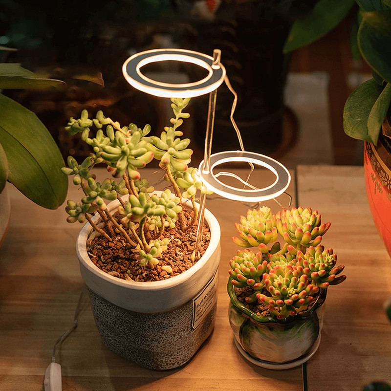 Sustainable grow lights for ecofriendly homes