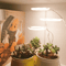 Versatile plant lights for home and office