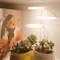 Versatile plant lights for home and office