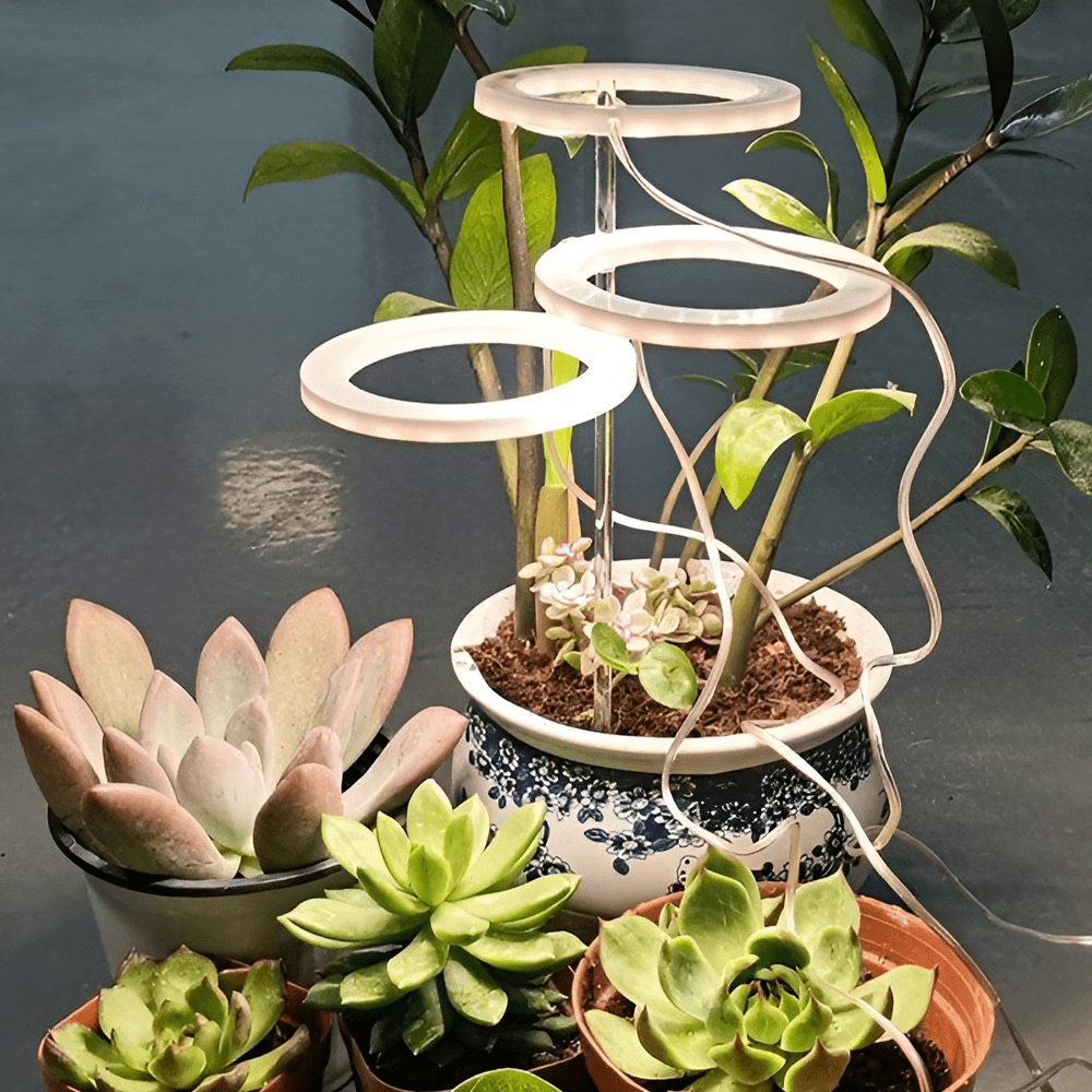 Easy installation grow lights for indoor plants