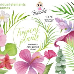 Watercolor clipart tropical plants, Tropics Flowers PNG