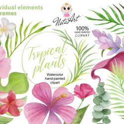 watercolor clipart tropical plants, tropics flowers png