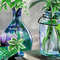 bottles 3fragement.jpg