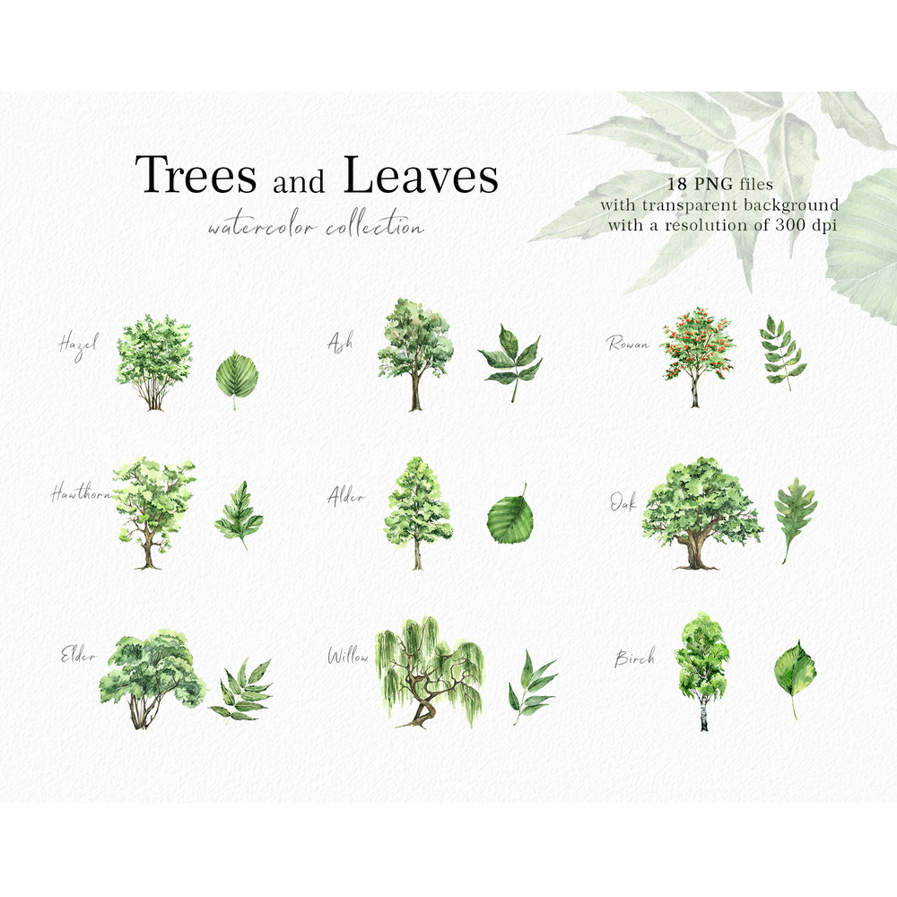 превью2 бум.jpg