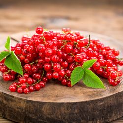 Whole Red Currant Dried 1000 gr ( 35.27oz )