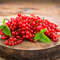 Currant_Red_600336_5175x3351.jpg
