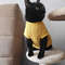 cat in a yellow sweater