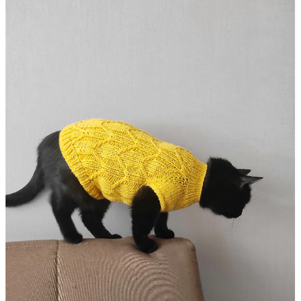 yellow cat sweater