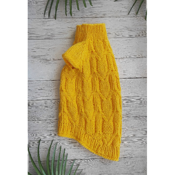 yellow jumper for pets