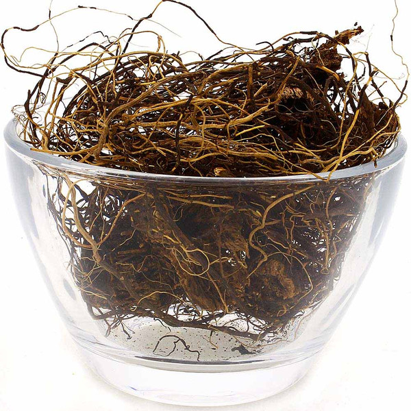 Leuzea-Maral Root or Rhaponticum_1.jpg