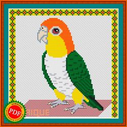caique cross stitch pattern | caique parrot