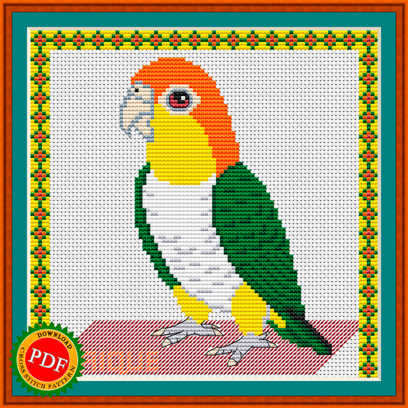 Caique cross stitch pattern