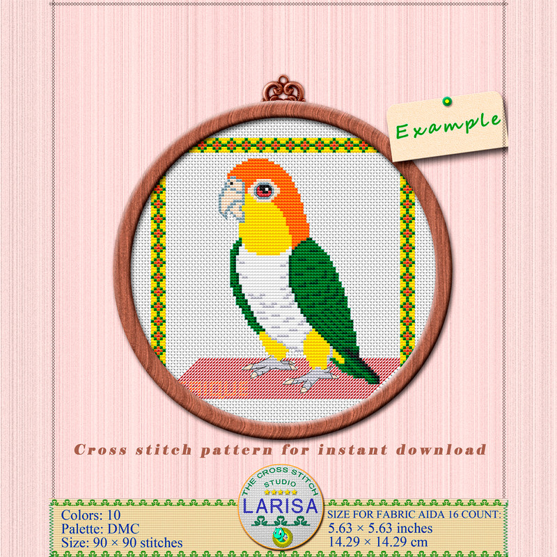 Parrot